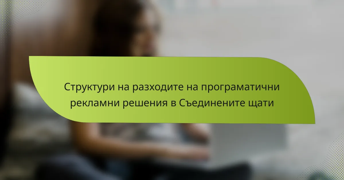 Структури на разходите на програматични рекламни решения в Съединените щати