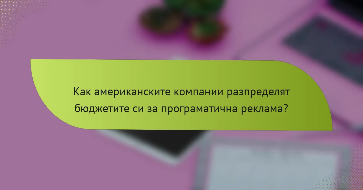 Как американските компании разпределят бюджетите си за програматична реклама?