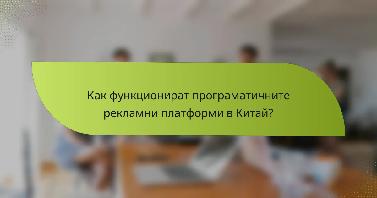 Как функционират програматичните рекламни платформи в Китай?