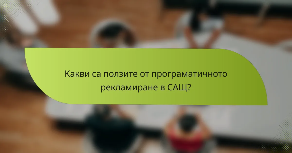 Какви са ползите от програматичното рекламиране в САЩ?