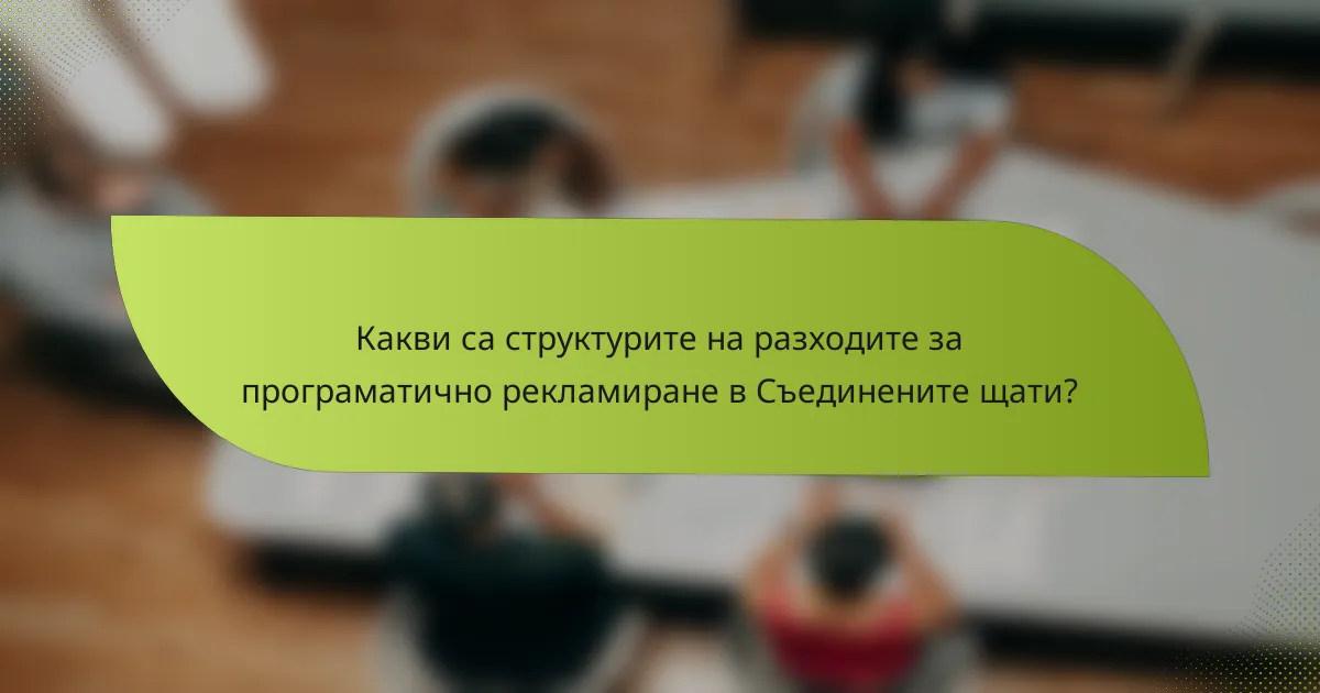 Какви са структурите на разходите за програматично рекламиране в Съединените щати?