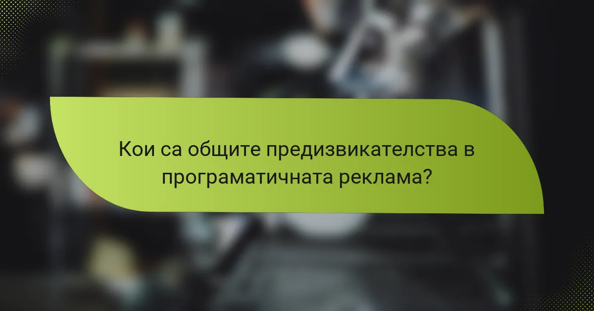 Кои са общите предизвикателства в програматичната реклама?