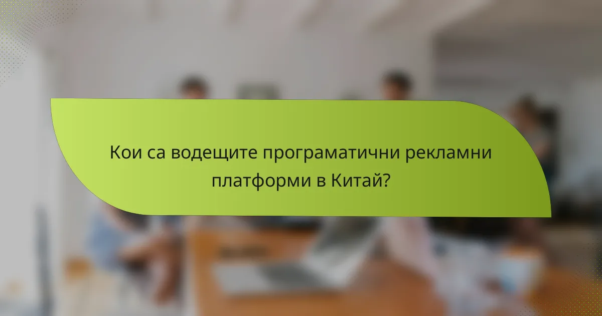 Кои са водещите програматични рекламни платформи в Китай?